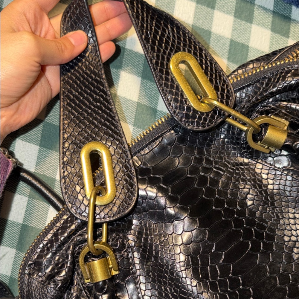 Chloé Paraty Python leather purse - Picture 11 of 11